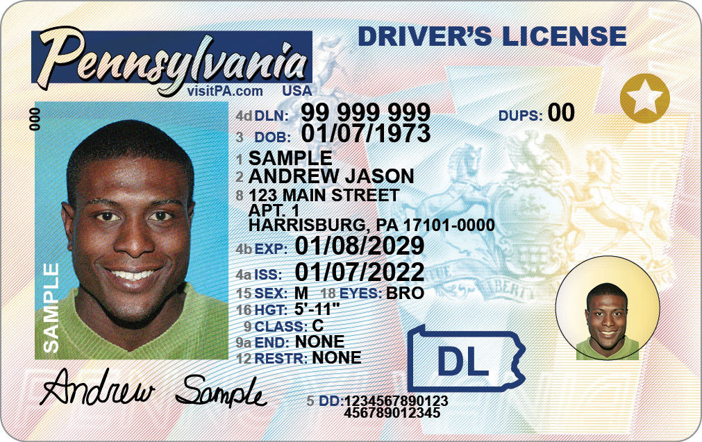 buy drivers license